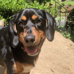 Meet your Posher, Kyla